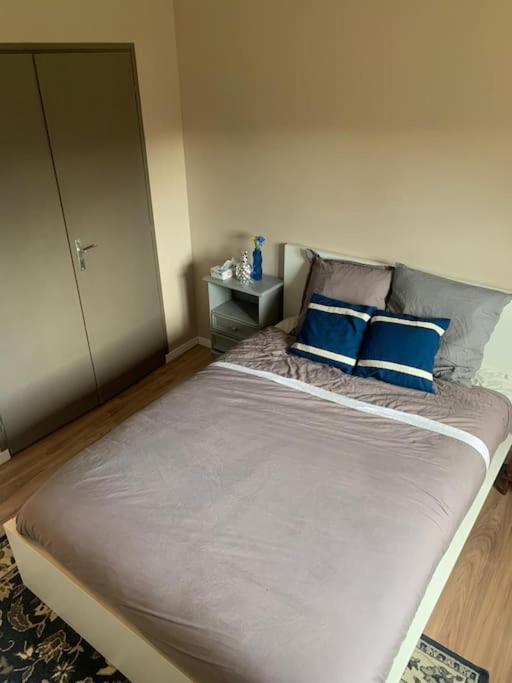Joli Appartement De Plain-Pied Plaisance-du-Touch Εξωτερικό φωτογραφία